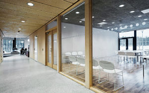 kotten 6 kotten_6