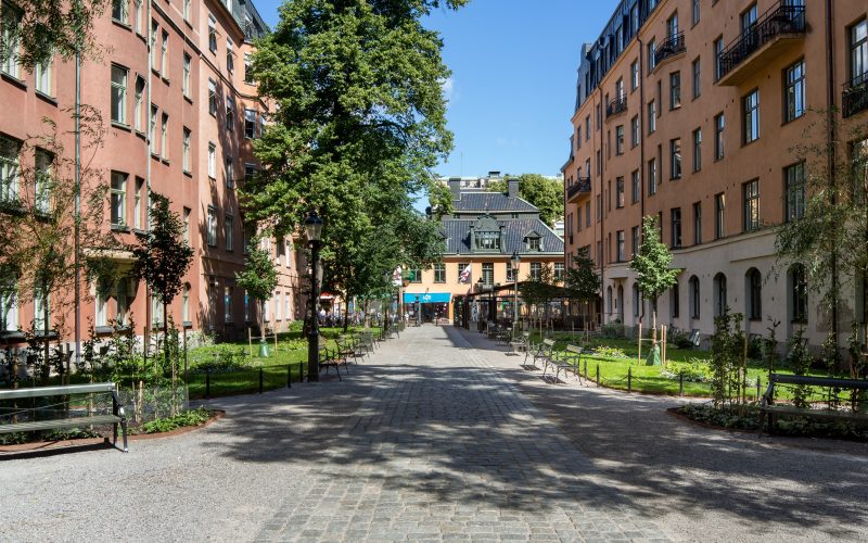 Norra Latin 04 Park på Norra Latin