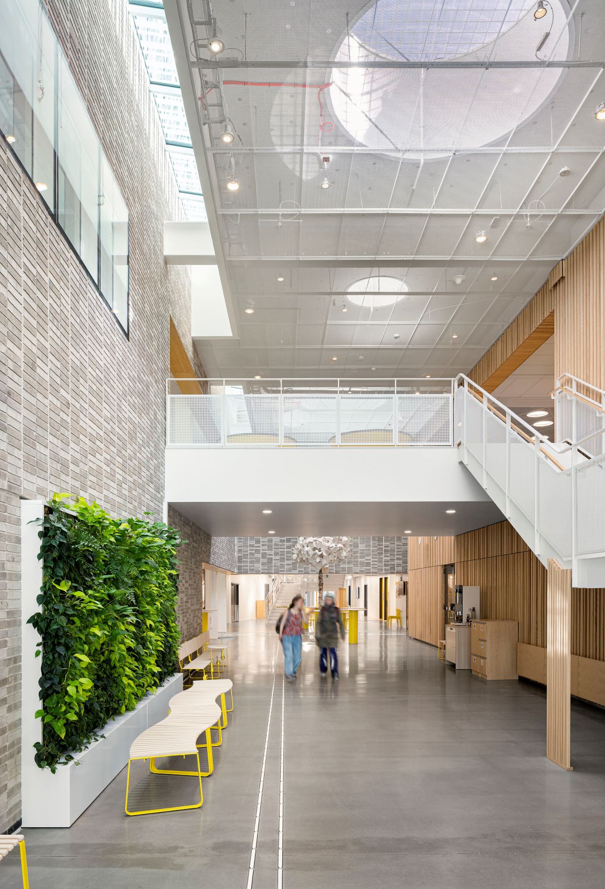 03427 Linnéuniversitetet