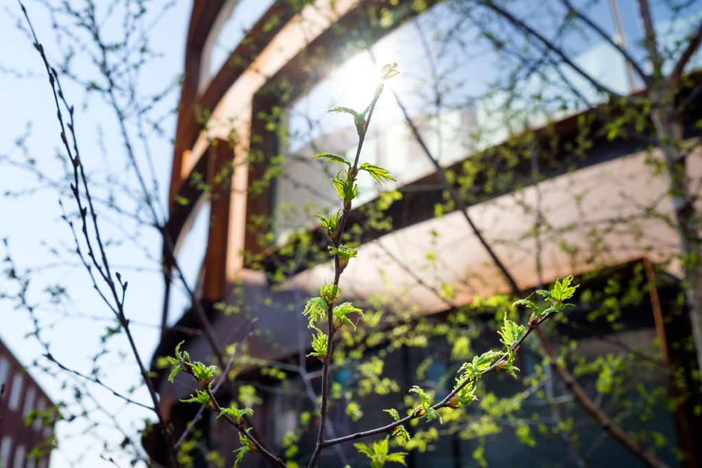 Arkitekturskolans entrétorg