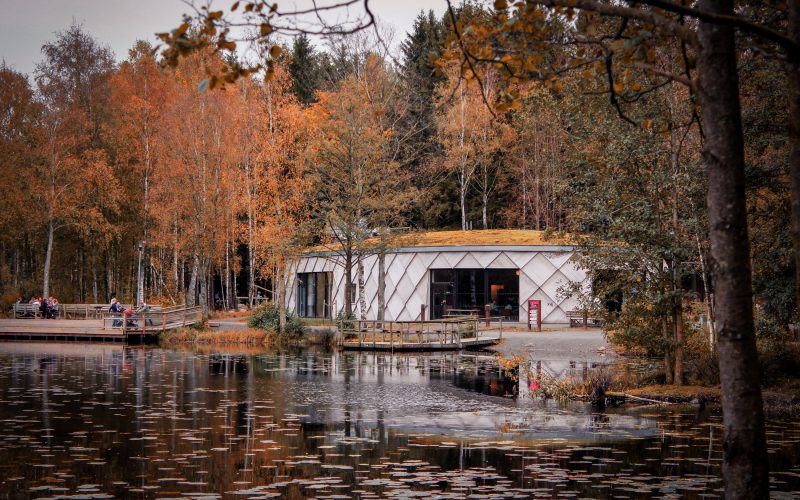 mg 6517 Landskapsarkitektur som främjar friluftsliv