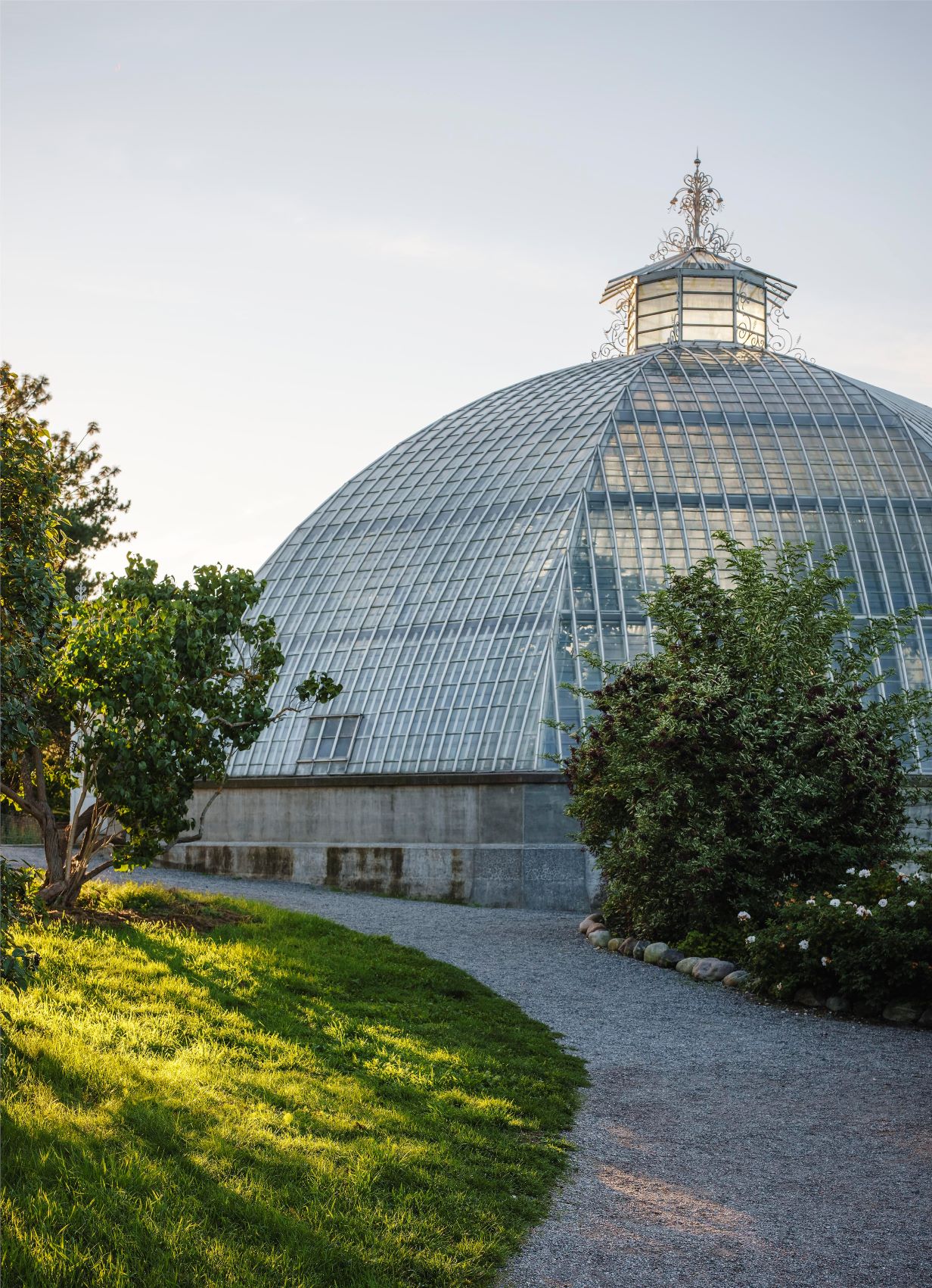 Bergianska trädgården