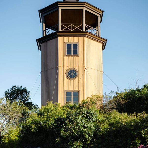 08827 Bergianska trädgården