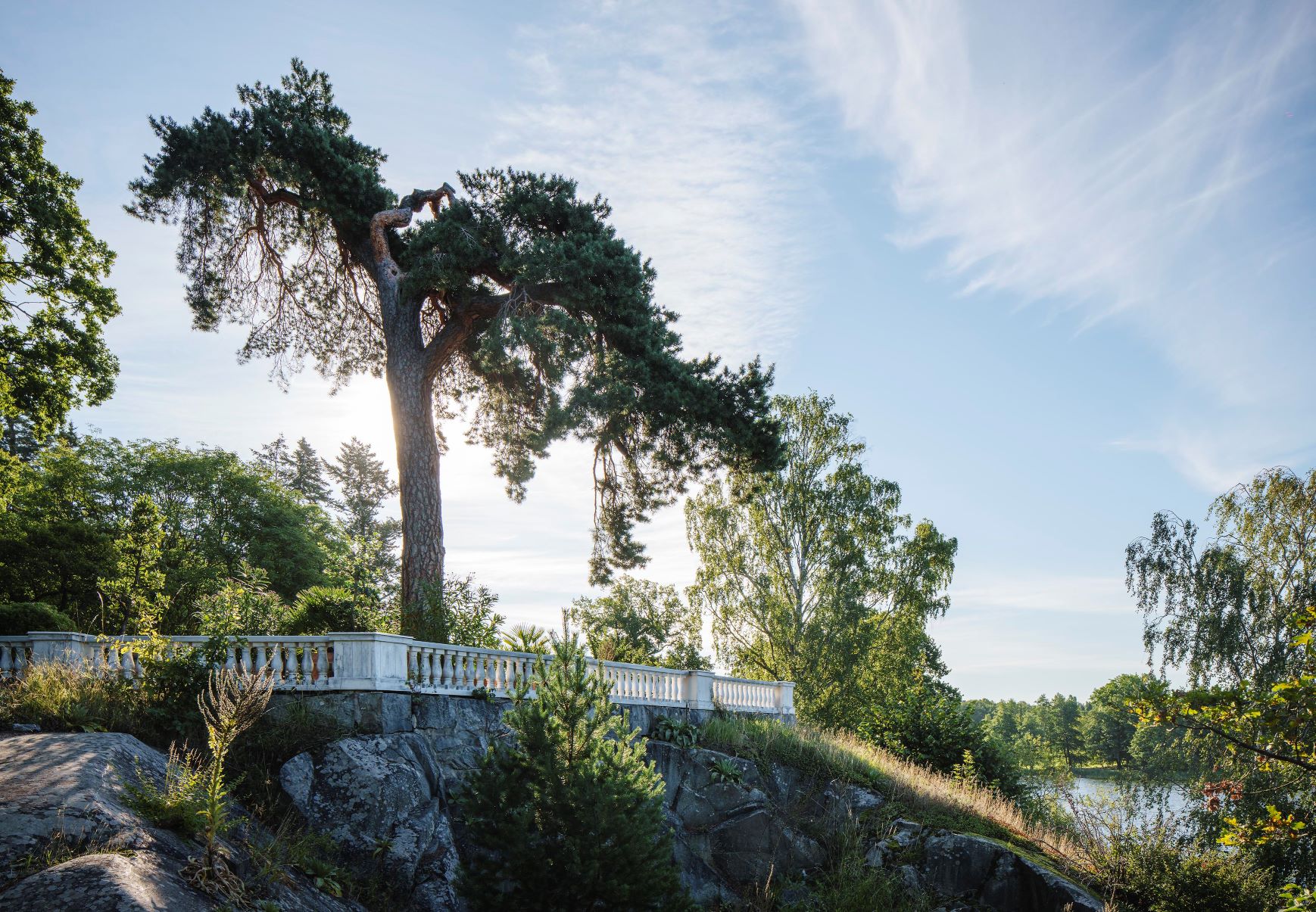 Bergianska trädgården