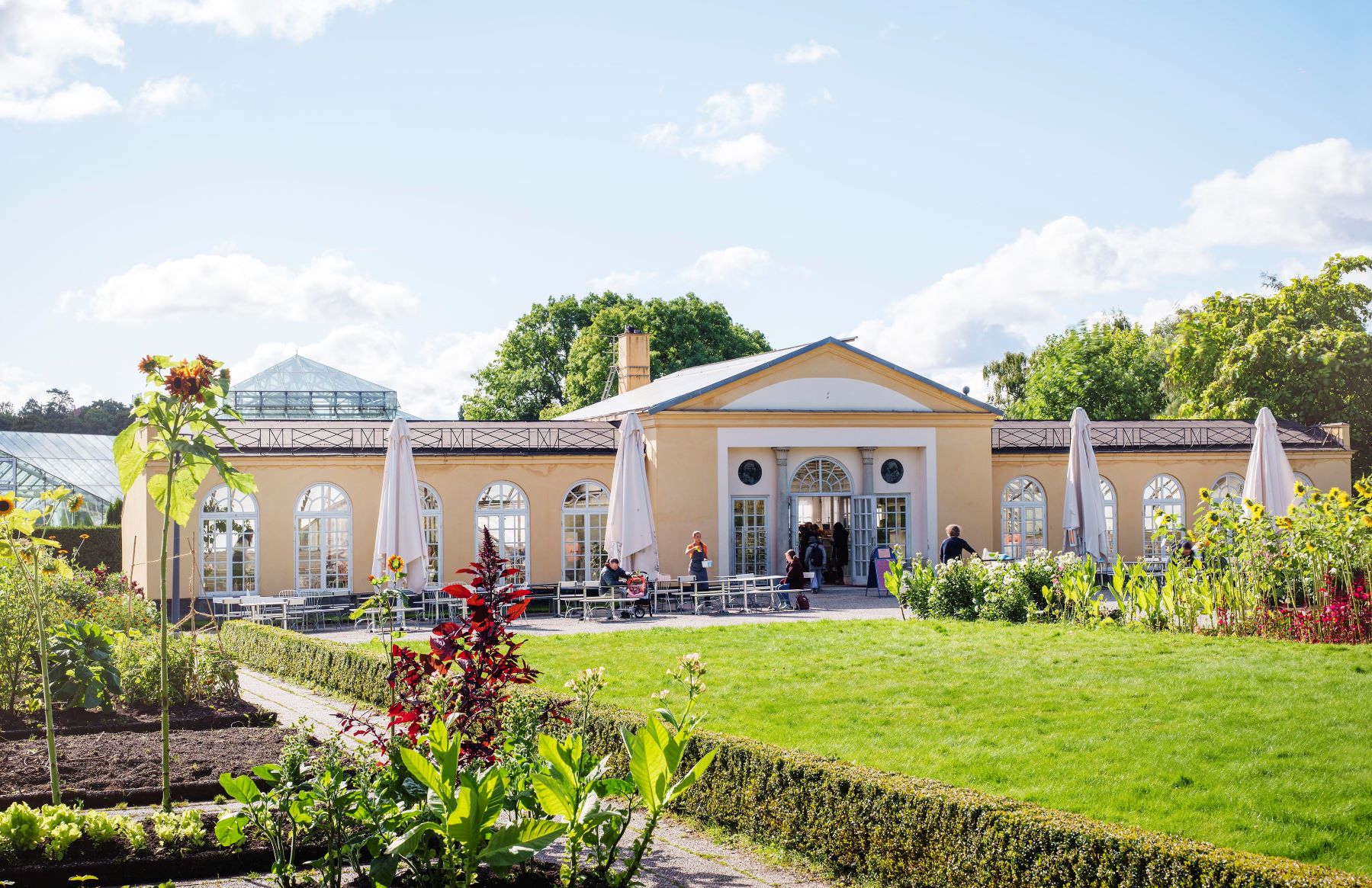 Bergianska trädgården