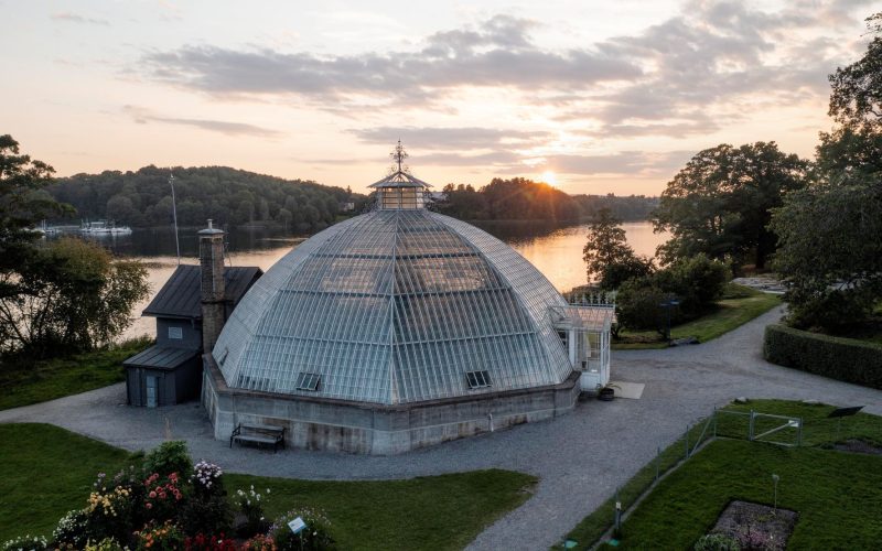 dji 0594 Bergianska trädgården