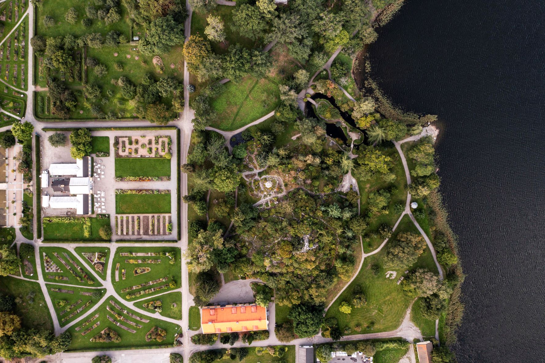 Bergianska trädgården