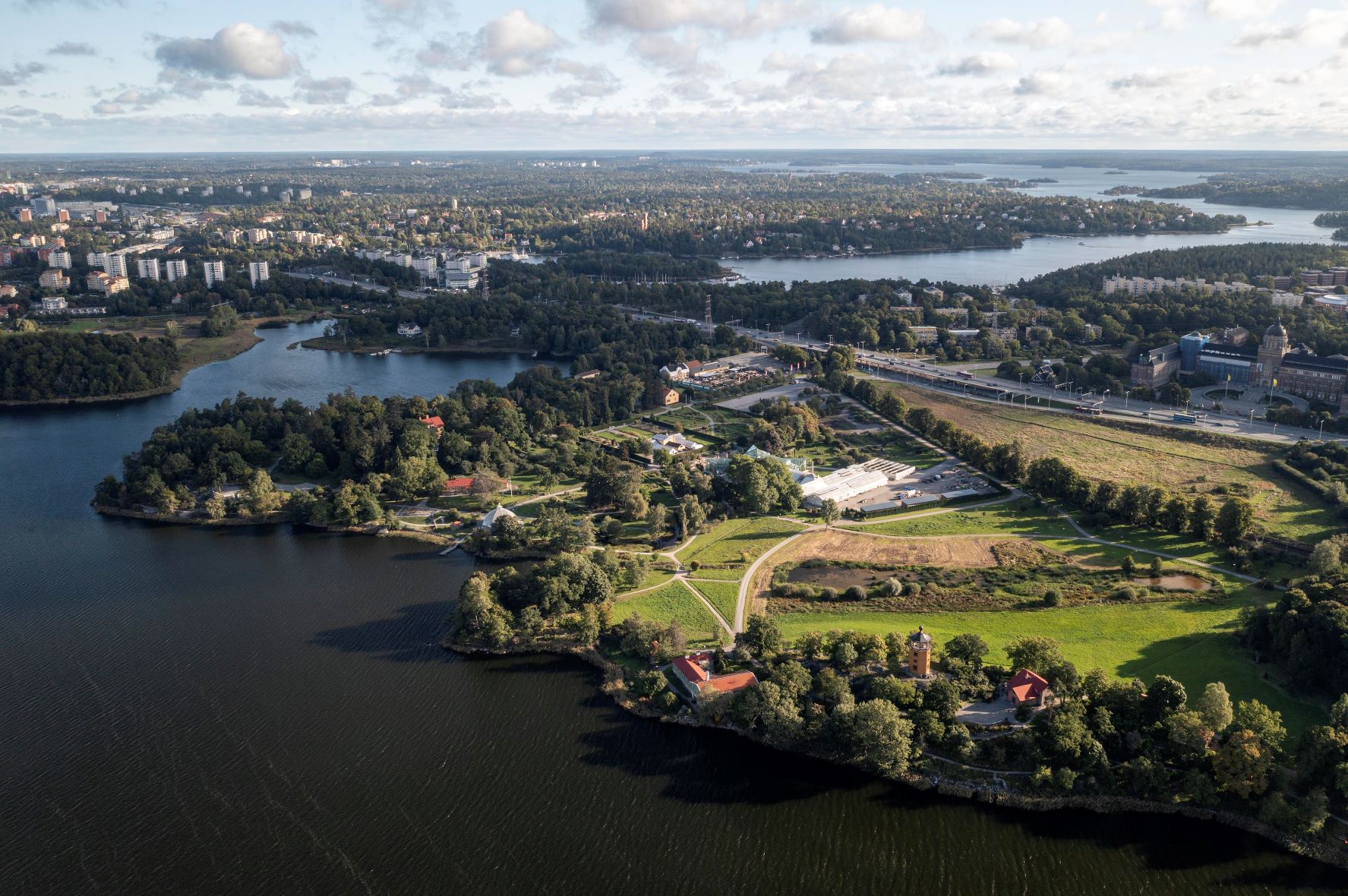 dji 0666 Bergianska trädgården