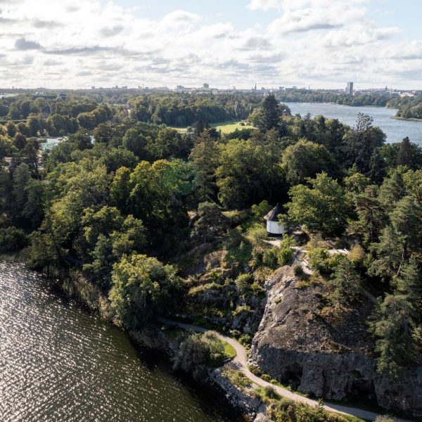 dji 0701 Bergianska trädgården