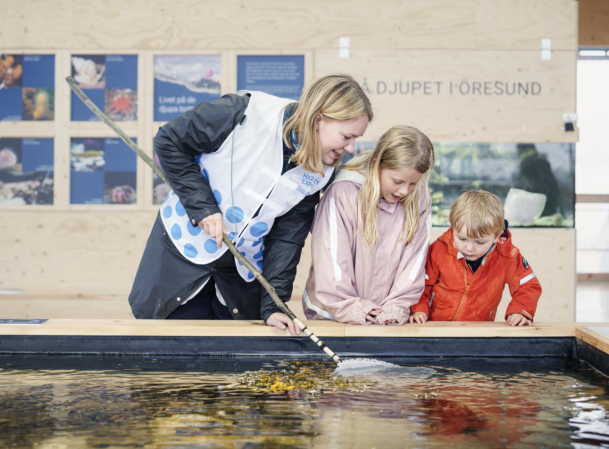Havoteket ska öka kunskapen om havet