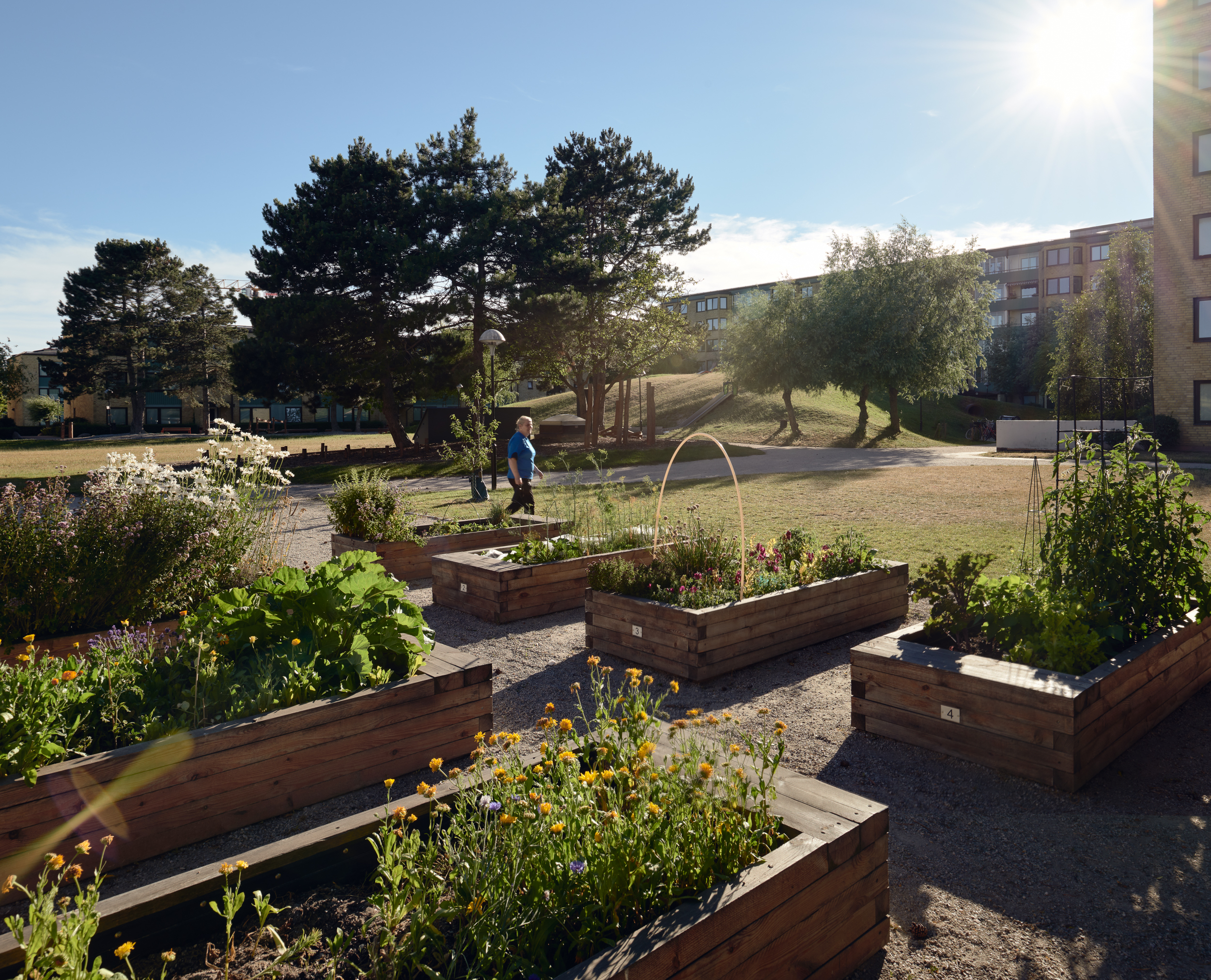 Bellevuegården