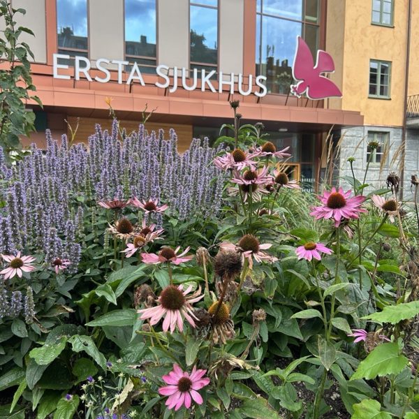 Ersta sjukhus entré