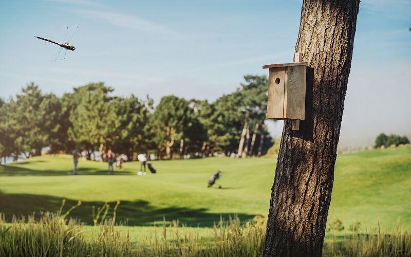 hallbar golf Golf